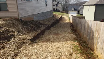 Tree Removal for Rush Tree Specialist in Knoxville, TN