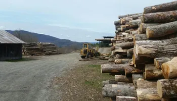 Dangerous Tree Removal for Andy Naylor Excavation in Stowe, VT