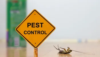 Pest Control for Volunteer Pest Solutions in Knoxville, TN