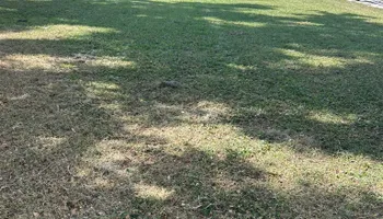 Fall Clean Up for Estrada All Pro Lawn Service in Auburndale, Florida