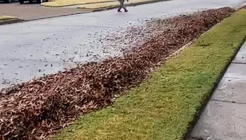 Mowing for Big Guy's Lawn Care & Landscaping Services in Memphis, TN