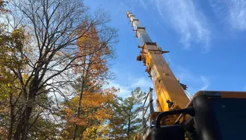 Tree Removal for Abair Tree Service in Weare, NH