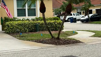 Tree Removal for TREE BOYS in Ruskin, FL