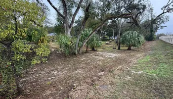 Fall Clean Up for Kramer & Son’s Property Maintenance in Hudson, FL