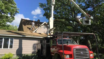Tree Removal for Allstate Tree Service in Fridley, MN