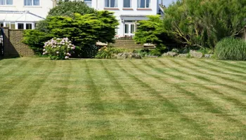 Lawn Maintenance for Strong Bros Landscaping in Royse City, TX