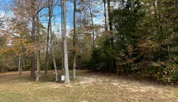 Lawn Maintenance for C + C Landscaping in Chesterfield, VA