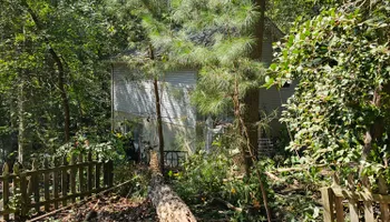 Tree Removal for Hired Gunz Services LLC in La Plata, MD