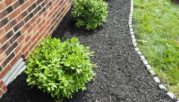 Tree Removal for Optimum Tree Service And Landscaping in Bowling Green, KY
