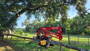 Tree Removal for Near Me Tree Service, Inc. in DeLand, FL