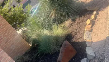 Mowing for Rustic Roots Landscaping in Austin, TX