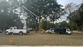 Tree Removal for Ross Family Tree Service LLC  in Hohenwald, TN