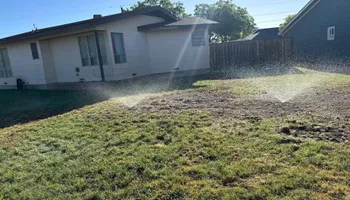 Tree Removal for Compas Cleanup in McCamey, TX