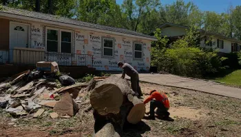 Tree Removal for J&M Stump Grinders LLC in Douglasville, GA