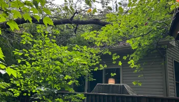 Tree Removal for Allstate Tree Service in Fridley, MN
