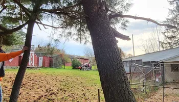 Tree Removal for Fowler's Tree Service LLC. in New Albany, PA