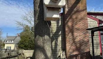Tree Removal for Robery's Tree Service in West Wareham, MA