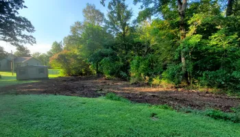 Tree Removal for Puckett's Tree Service in Decatur County, TN