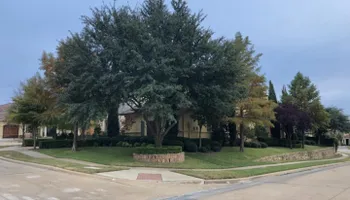 Tree Trimming for Twin Oak Solutions in Carrollton, TX