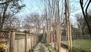 Tree Removal for Year Round Trees & Concrete Inc. in Fort Worth, TX