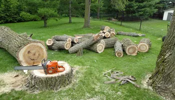 Mulching for Dove Springs Landscaping Services in Austin, Texas