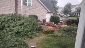 Tree Removal for All Tree Property Services in Charlotte, NC