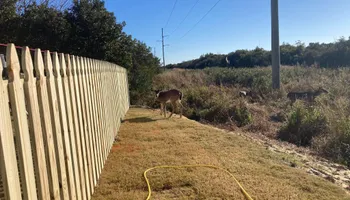 Wood Fencing for Sea Level Fence in Virginia Beach, VA