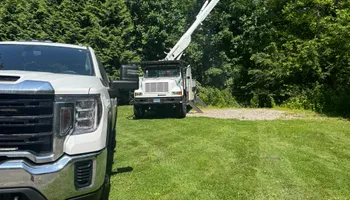 Tree Removal for Hennessey Tree & Landscape LLC in Oxford,  CT 