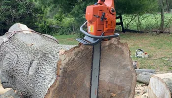 Tree Removal for Gray's Tree Service  in Shenandoah County, VA