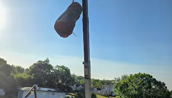 Tree Removal for Near Me Tree Service, Inc. in DeLand, FL