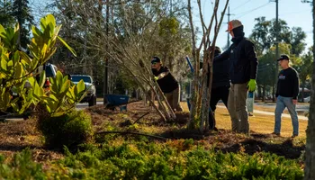 Landscape Lighting for Pro Designs Landscaping in Jacksonville, FL