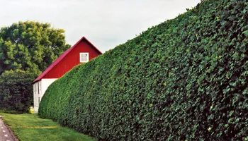 Lawn Maintenance for The FAAR Group INC in Chalfont, PA