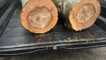 Tree Removal for Greenskeeper Property Management in Elizabethtown, KY