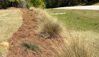 Landscape Maintenance for Nature's Way Landscaping & Maintenance, LLC in Augusta, Georgia