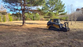 Land Clearing for 5 Star Land Management in Beech Bluff, TN