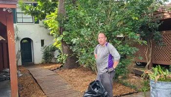 Fall and Spring Clean Up for Curb Appeal Lawn Care LLC. in Gulfport, FL