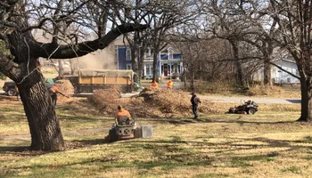 Lawn Mowing for Thomas' Lawn Care in Maryville, MO