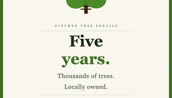 Tree Removal for Dittmer Tree Service in Davenport, IA