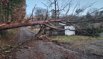 Septic System Installation for Earthworks Elite in Sevierville, TN