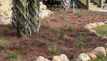 Sod Installation for Roberts Lawn & Landscape in Steinhatchee, FL
