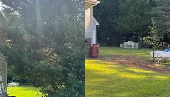 Gravel Driveway Install for Early Byrd Landscaping & Lawn Care  in Angier, NC