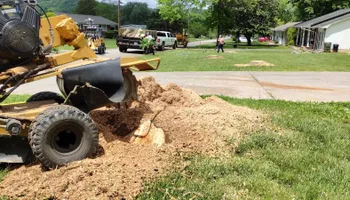 Tree Removal for Rush Tree Specialist in Knoxville, TN