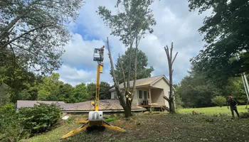 Tree Removal for Ross Family Tree Service LLC  in Hohenwald, TN