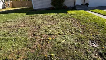 Landscape Installation for Falls Property Services  in Idaho Falls, ID