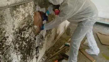 Bathroom Renovation for VISION 21inc General Contractor in Brooklyn, NY