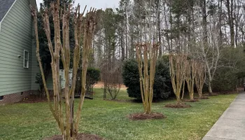 Landscaping Design for Chavez Landscaping in Pittsboro, NC