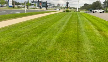 Lawn Care for Pro-Care LLC in Hudson, WI