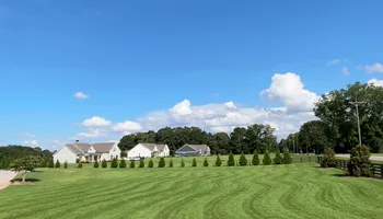 Lawn Maintenance for WD Lawn Services in Loganville, GA