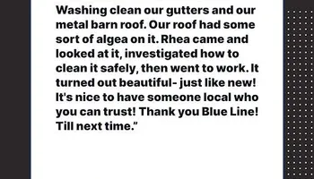 Carpet Cleaning for Blue Line Pressure Washing in Carthage, IL