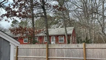 Tree Removal for Native Roots Tree Service in Falmouth, MA